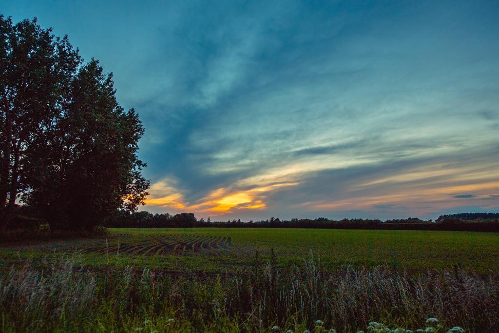 5 Bedroom Detached Barn Conversion For Sale in Marsh Moss Lane